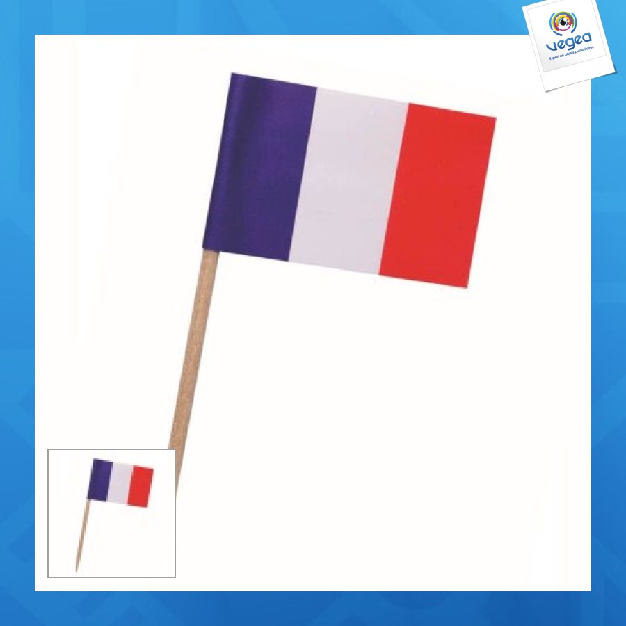 Pique drapeau avec logo france
