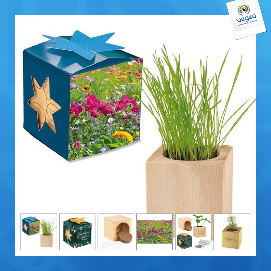 Pot cube bois maxi en boite star-box - mélange de fleurs d'été