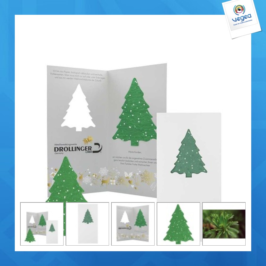 Carte de voeux avec papier ensemencé sapin - graines d'épicéa - epicéa - 4/0-c