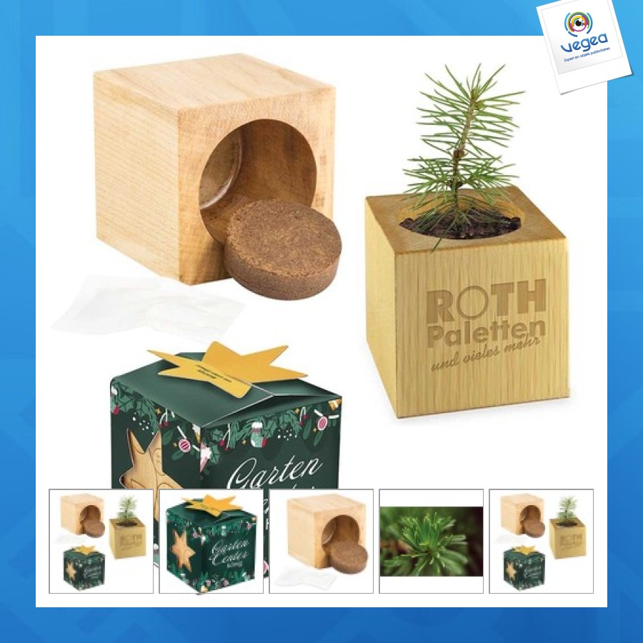 Pot cube bois maxi de noël en boite star-box - epicéa