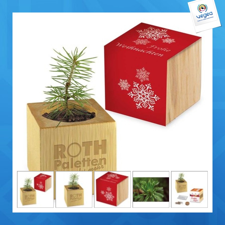 Pot cube bois de bureau de noël - design standard - epicéa - sans gravure laser