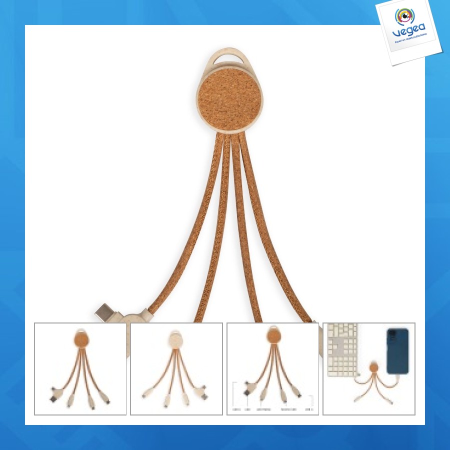 Câble de charge promotionnel multi-embouts 2 en 1