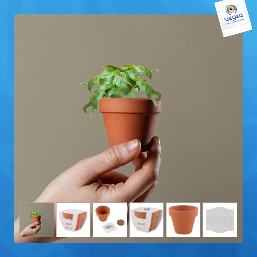Pot plante personnalisée basilic