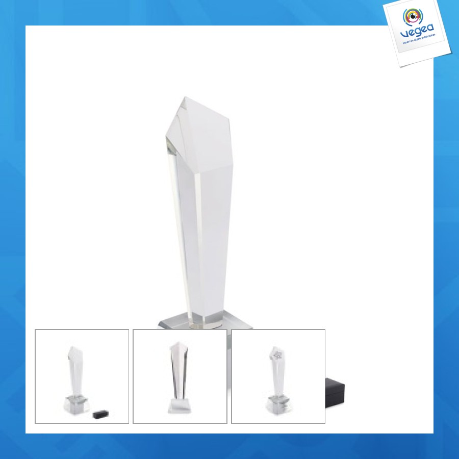 Prix en cristal dans un coffret ca