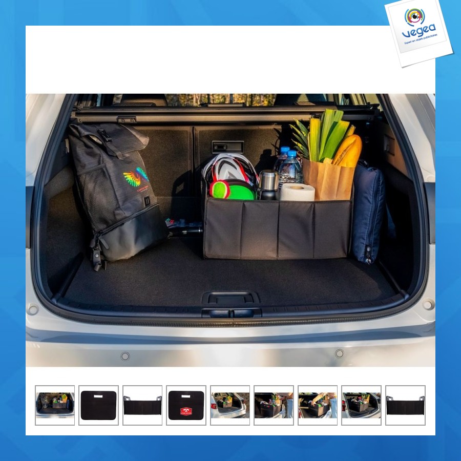 Organiseur de voiture pliable - reign