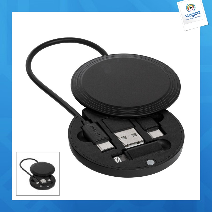 Câble de charge personnalisé 4 en 1 reeves